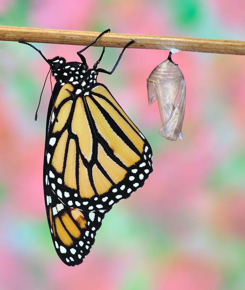 Featured on Friday – Guest Post: Imperfectly, Perfectly Me!