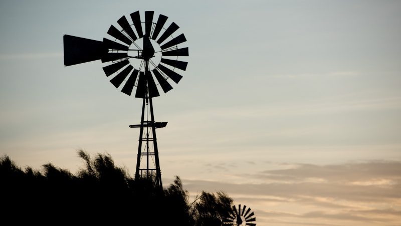 Embraced By The Wind