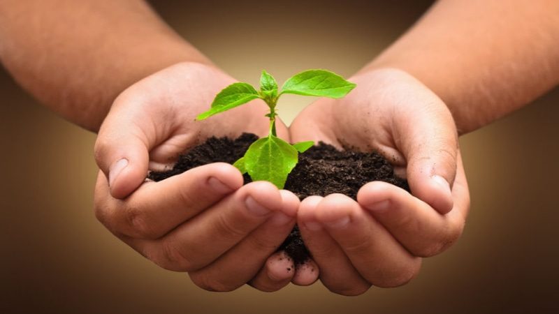 A Time for Reflection