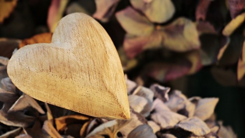 Finding Gratitude in What Could Have Been