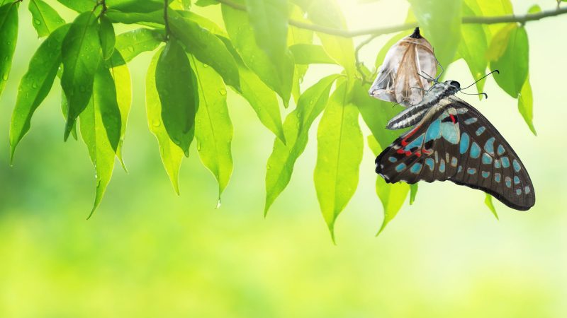 Reflections On Transitions and New Beginnings