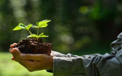 Episode 104: Building a Thriving Community with Dennis Pitocco