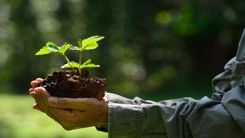 Episode 104: Building a Thriving Community with Dennis Pitocco